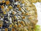 Caloplaca saxicola (Hoffm.) Nordin